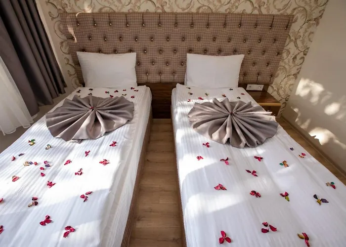 Mount Ararat Hotel 4*