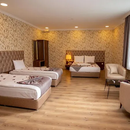 Mount Ararat Hotel 4*